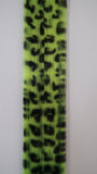 Psychedelic Tiger - Festival Collection