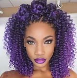 PAINTBOX FUDGE Purple People